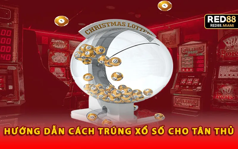 huong-dan-cach-trung-xo-so-cho-tan-thu